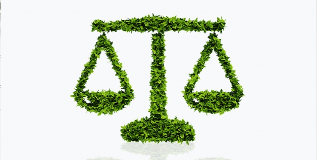 Environmental law teaching jobs